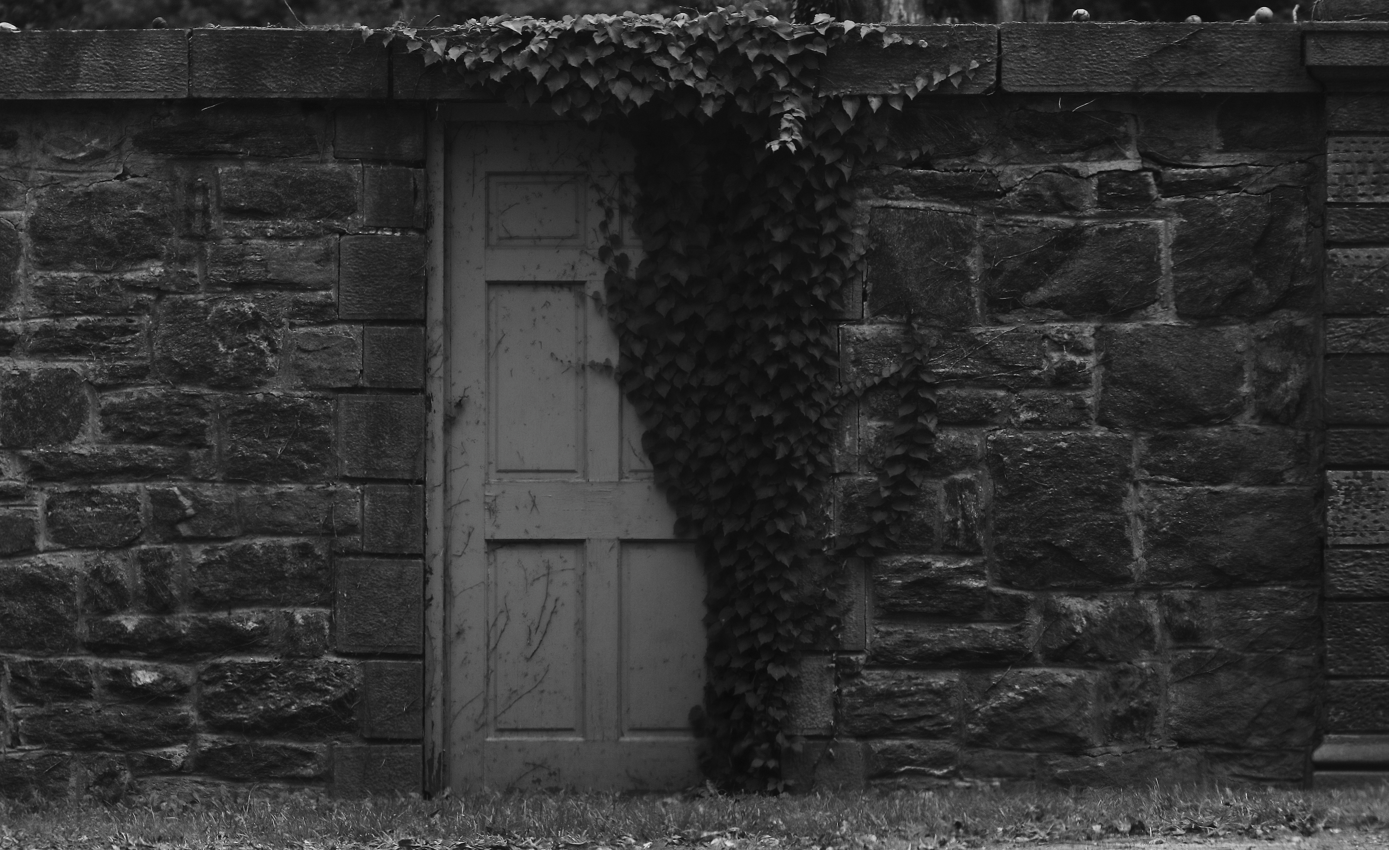 2011 09 11 IMG 36826ebw